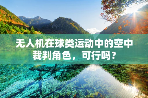 无人机在球类运动中的空中裁判角色，可行吗？