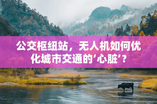 公交枢纽站，无人机如何优化城市交通的‘心脏’？