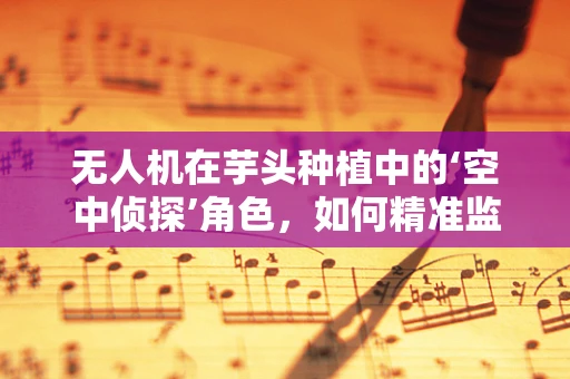 无人机在芋头种植中的‘空中侦探’角色，如何精准监测与提升产量？