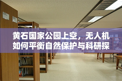 黄石国家公园上空，无人机如何平衡自然保护与科研探索的双飞？