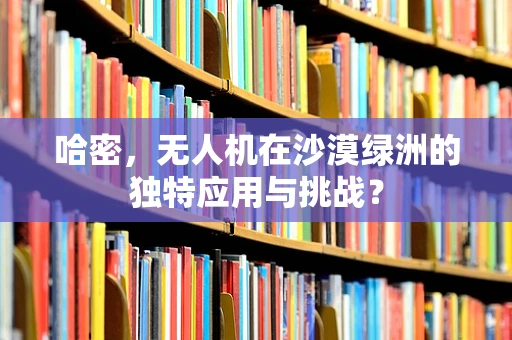 哈密，无人机在沙漠绿洲的独特应用与挑战？