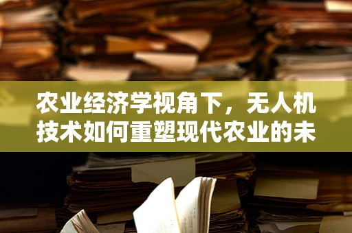 农业经济学视角下，无人机技术如何重塑现代农业的未来？