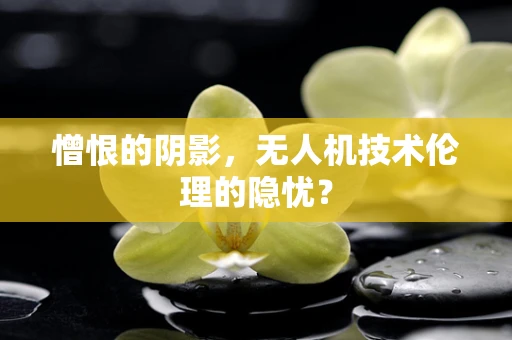 憎恨的阴影，无人机技术伦理的隐忧？