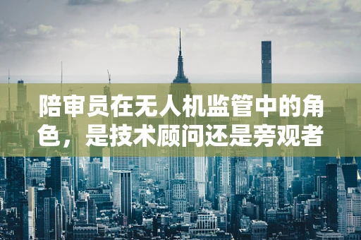 陪审员在无人机监管中的角色，是技术顾问还是旁观者？