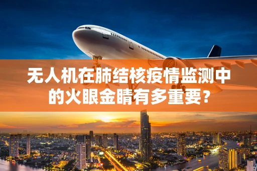 无人机在肺结核疫情监测中的火眼金睛有多重要？