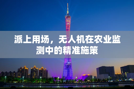 派上用场，无人机在农业监测中的精准施策