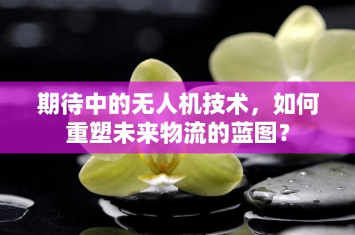 期待中的无人机技术，如何重塑未来物流的蓝图？