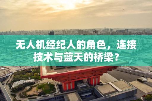 无人机经纪人的角色，连接技术与蓝天的桥梁？