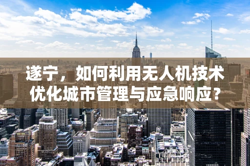 遂宁，如何利用无人机技术优化城市管理与应急响应？