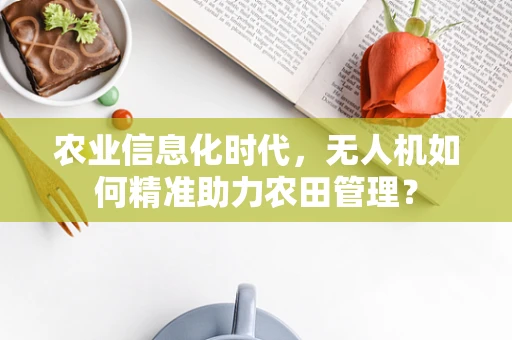 农业信息化时代，无人机如何精准助力农田管理？