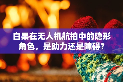 白果在无人机航拍中的隐形角色，是助力还是障碍？