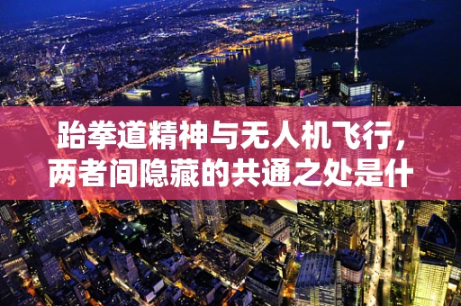跆拳道精神与无人机飞行，两者间隐藏的共通之处是什么？