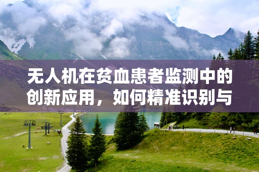 无人机在贫血患者监测中的创新应用，如何精准识别与辅助治疗？
