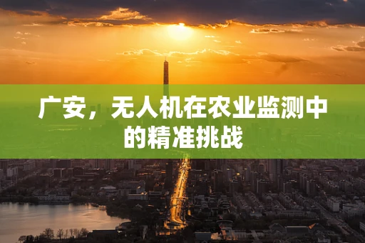 广安，无人机在农业监测中的精准挑战