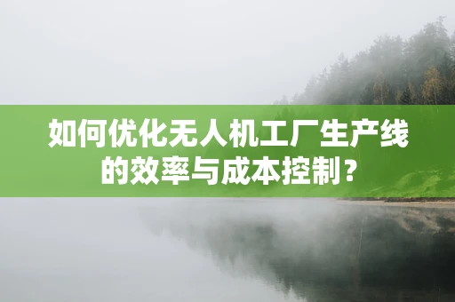 如何优化无人机工厂生产线的效率与成本控制？