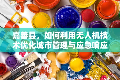 嘉善县，如何利用无人机技术优化城市管理与应急响应？