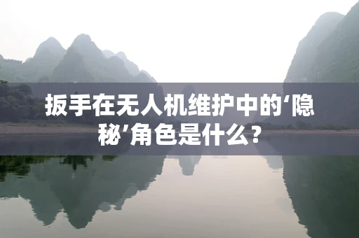 扳手在无人机维护中的‘隐秘’角色是什么？