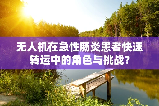 无人机在急性肠炎患者快速转运中的角色与挑战？