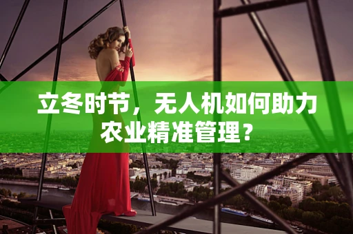 立冬时节，无人机如何助力农业精准管理？