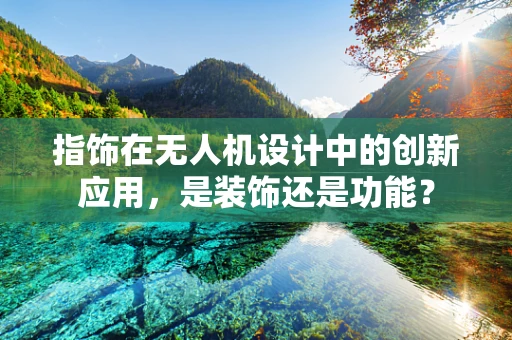 指饰在无人机设计中的创新应用，是装饰还是功能？