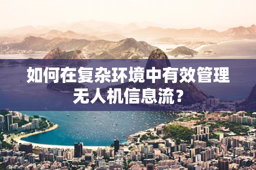 如何在复杂环境中有效管理无人机信息流？