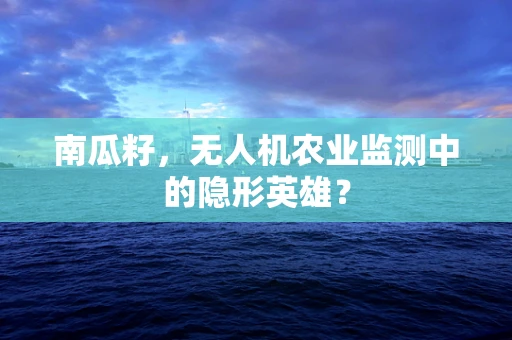 南瓜籽，无人机农业监测中的隐形英雄？