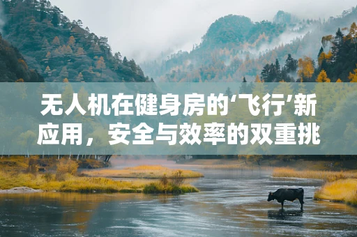 无人机在健身房的‘飞行’新应用，安全与效率的双重挑战？