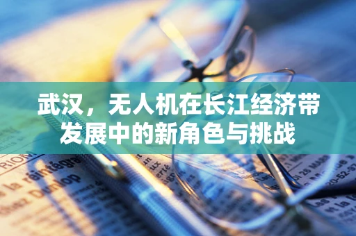 武汉，无人机在长江经济带发展中的新角色与挑战