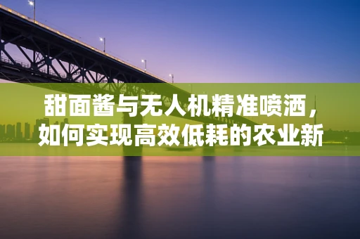 甜面酱与无人机精准喷洒，如何实现高效低耗的农业新纪元？