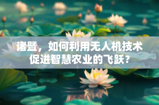 诸暨，如何利用无人机技术促进智慧农业的飞跃？