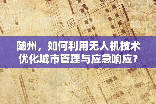 随州，如何利用无人机技术优化城市管理与应急响应？