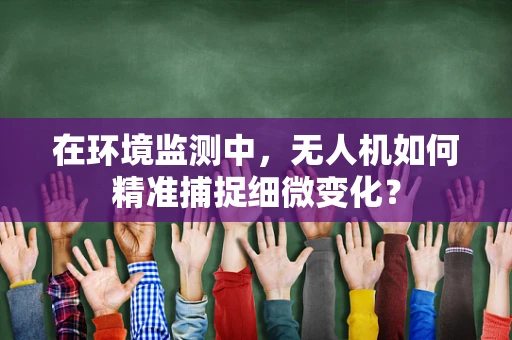 在环境监测中，无人机如何精准捕捉细微变化？