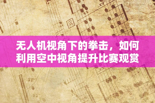 无人机视角下的拳击，如何利用空中视角提升比赛观赏性？