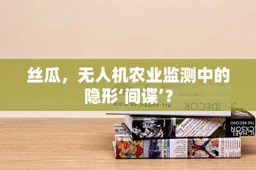 丝瓜，无人机农业监测中的隐形‘间谍’？