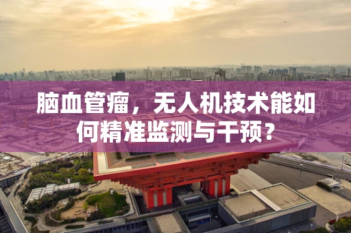 脑血管瘤，无人机技术能如何精准监测与干预？