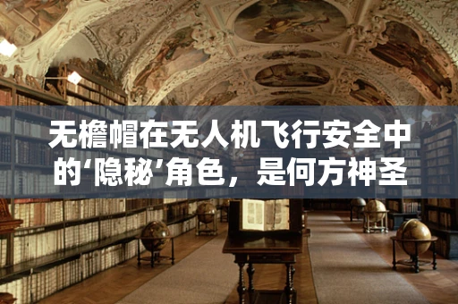 无檐帽在无人机飞行安全中的‘隐秘’角色，是何方神圣？