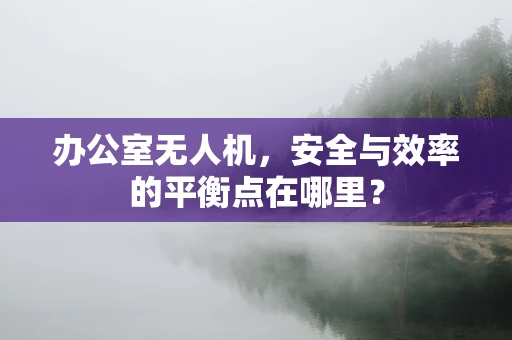 办公室无人机，安全与效率的平衡点在哪里？