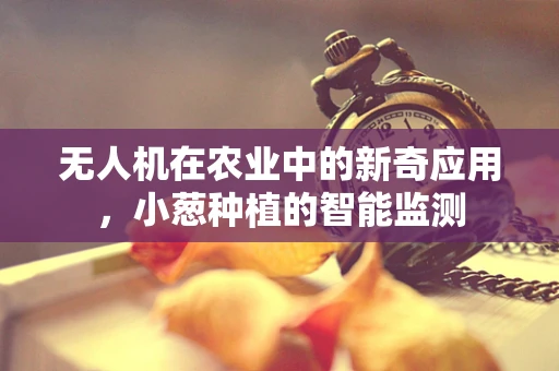 无人机在农业中的新奇应用，小葱种植的智能监测