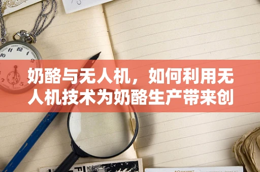 奶酪与无人机，如何利用无人机技术为奶酪生产带来创新？