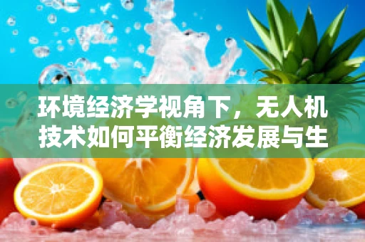 环境经济学视角下，无人机技术如何平衡经济发展与生态保护？