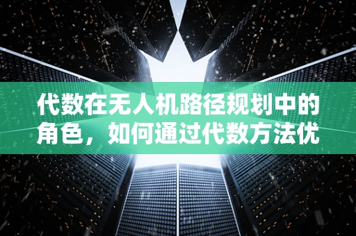 代数在无人机路径规划中的角色，如何通过代数方法优化飞行轨迹？