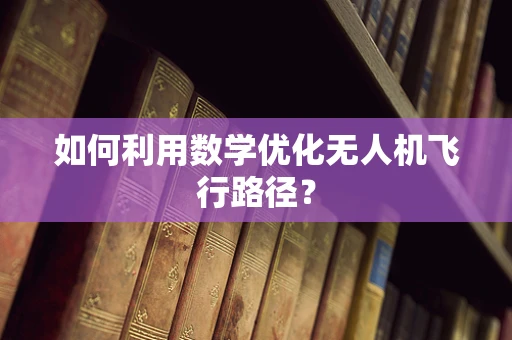 如何利用数学优化无人机飞行路径？