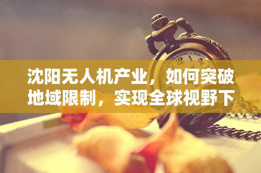 沈阳无人机产业，如何突破地域限制，实现全球视野下的创新发展？