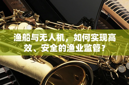 渔船与无人机，如何实现高效、安全的渔业监管？