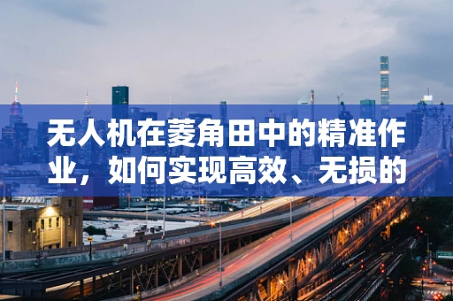 无人机在菱角田中的精准作业，如何实现高效、无损的监测？
