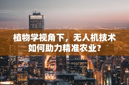 植物学视角下，无人机技术如何助力精准农业？
