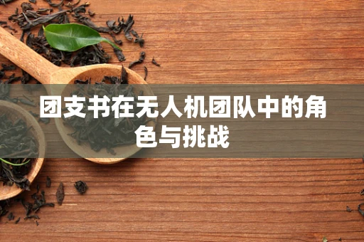 团支书在无人机团队中的角色与挑战
