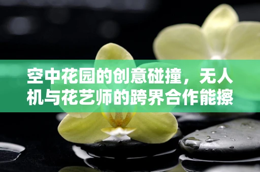 空中花园的创意碰撞，无人机与花艺师的跨界合作能擦出怎样的火花？