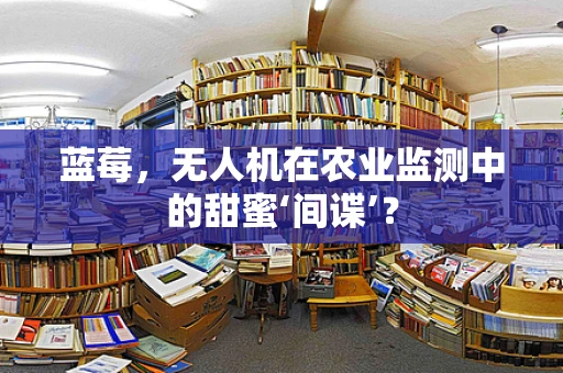 蓝莓，无人机在农业监测中的甜蜜‘间谍’？