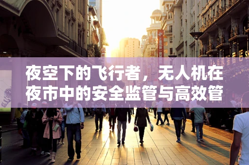 夜空下的飞行者，无人机在夜市中的安全监管与高效管理
